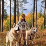 husky automne Laponie