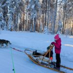 des enfants conduisent un traîneau a chiens en laponie