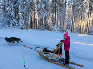 des enfants conduisent un traîneau a chiens en laponie