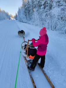 des enfants apprennent à conduire un traîneau à chien en Laponie