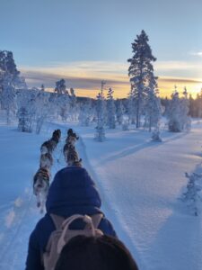 faire du traîneau en Laponie en famille