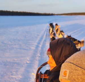 une famille fait du traîneau a chien sur un lac gelé en laponie