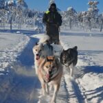 conduire son traineau en laponie