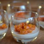 pannacotta aux baies arctique
